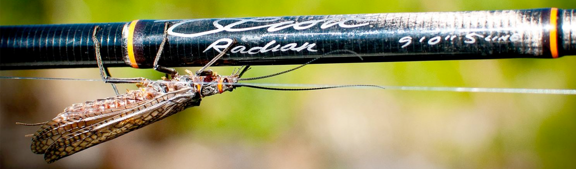 Fly Rods Beulah Fly Rods Bruce & Walker CF Burkheimer CND Custom Design Dragonfly Echo Fenwick G. Loomis Gaelforce Hardy Lamson Loop Nam Products OPST (Olympic Peninsula Skagit Tactics) Orvis Payne Pezon et Michel Redington Sage Scott Temple Fork Outfitters Thomas & Thomas Winston