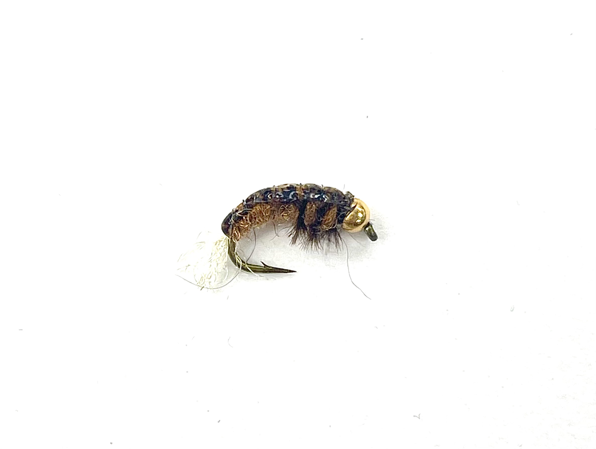 Caddis Pupa Are Another Very Important Fly to Have in Your Arsenal.