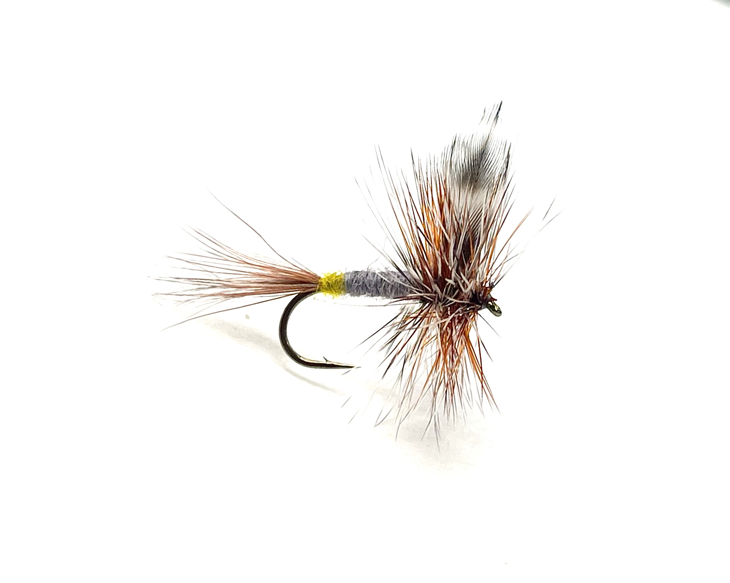 Some of the Most Common Dry Flies to Throw at Rising Fish!