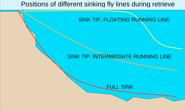 The sink-tip line is a combination of the floating fly line and sinking fly line.  The first 10 to 30 feet is the sinking section; the balance is a floating line. It is the most common line used today for fishing nymph and streamers.