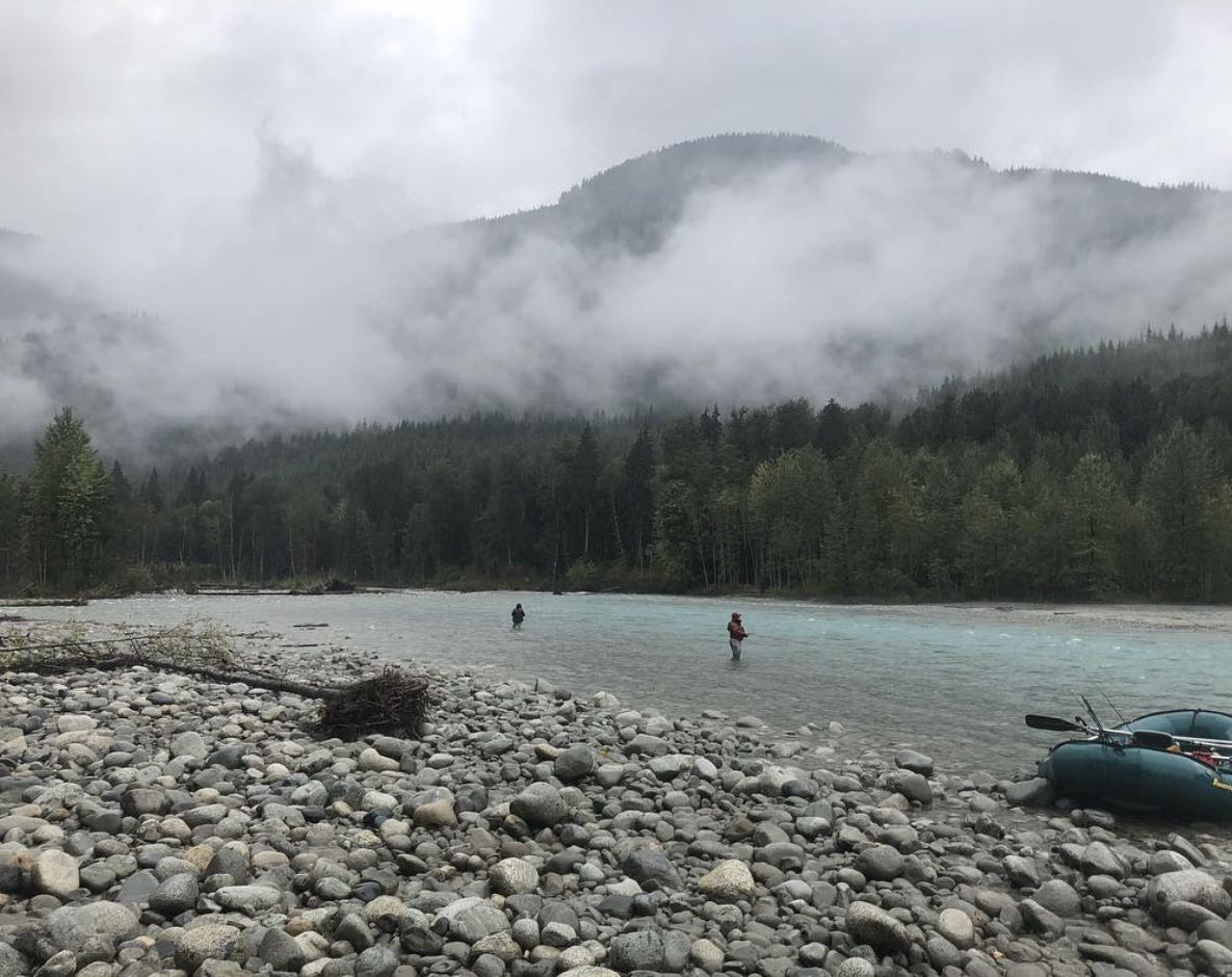 Vedder River Winter Steelhead <P>