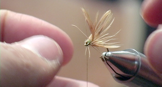 Heisenberg Baitfish Streamer Brown, Fly Fishing Flies For Less