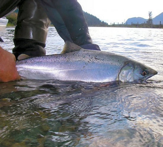 On The Water Salmon Harrison River Course