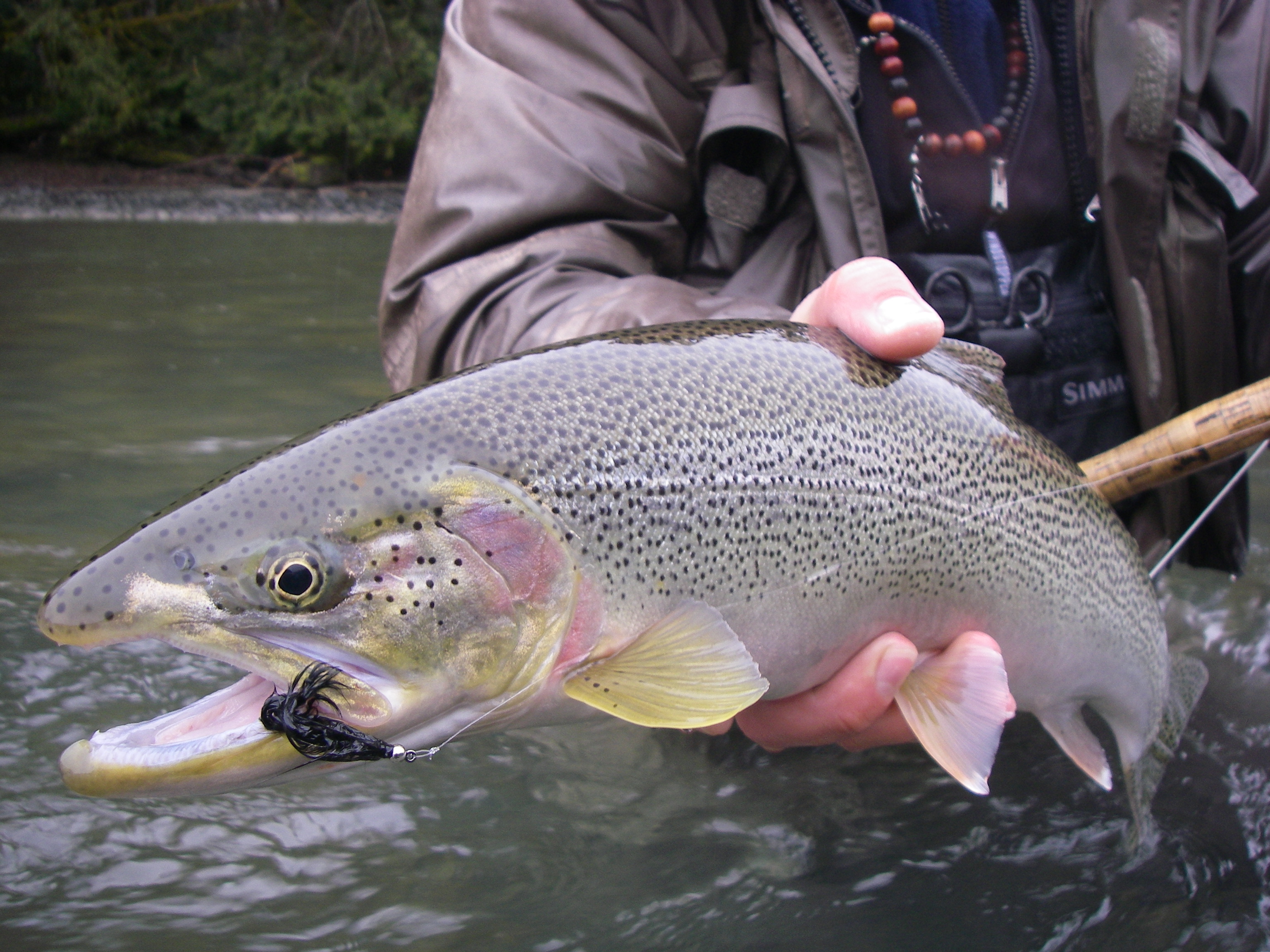 Lillooet River WINTER TROUT - Course Details