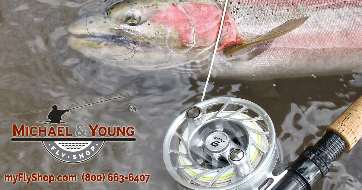 Michael & Young - Fly Fishing Tackle, Vancouver, BC, Can
