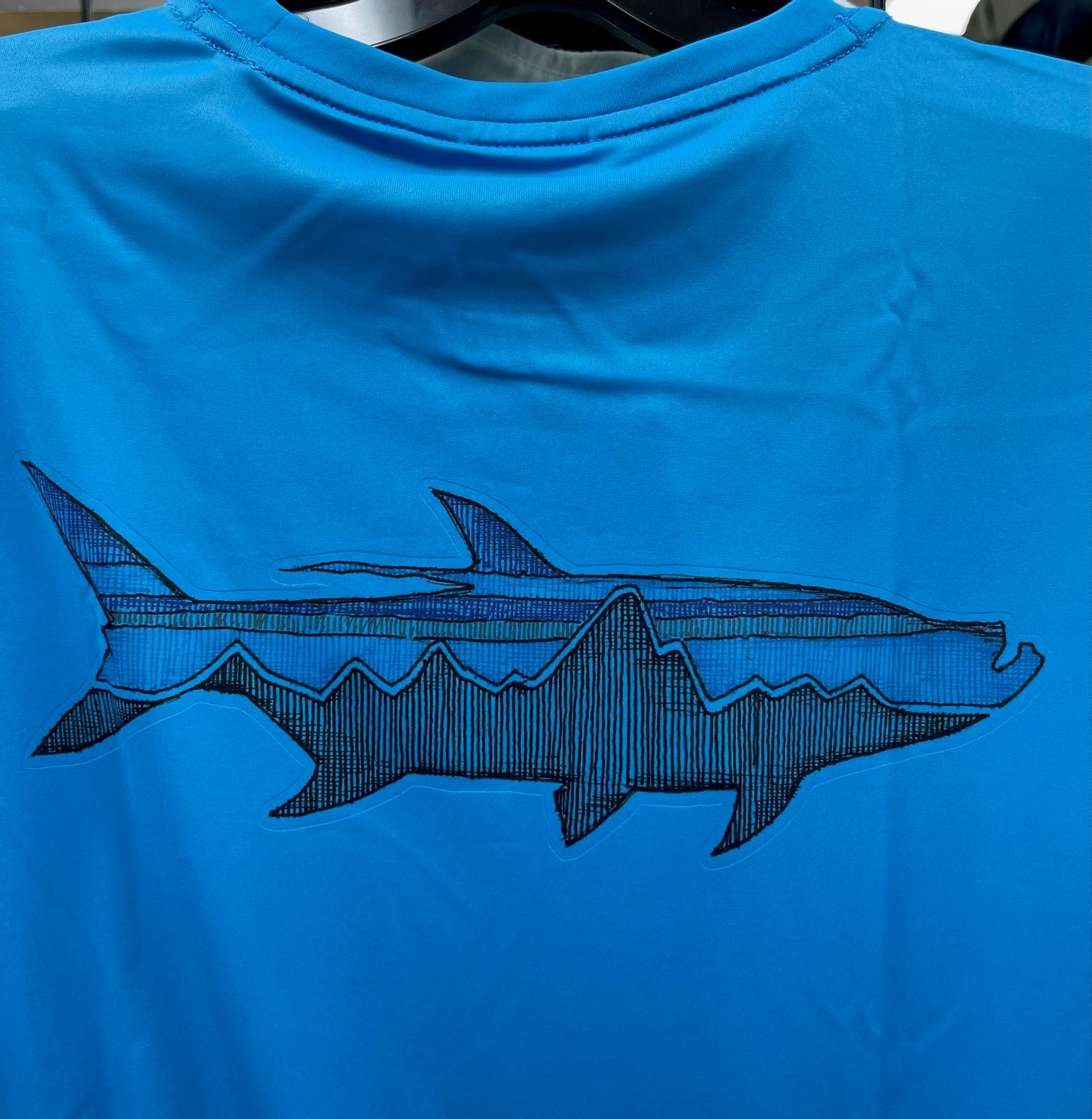 Patagonia M's L/S Capilene Cool Daily Fish Graphic Shirt - Sketched Fitz Roy Tarpon: Joya Blue - Small
