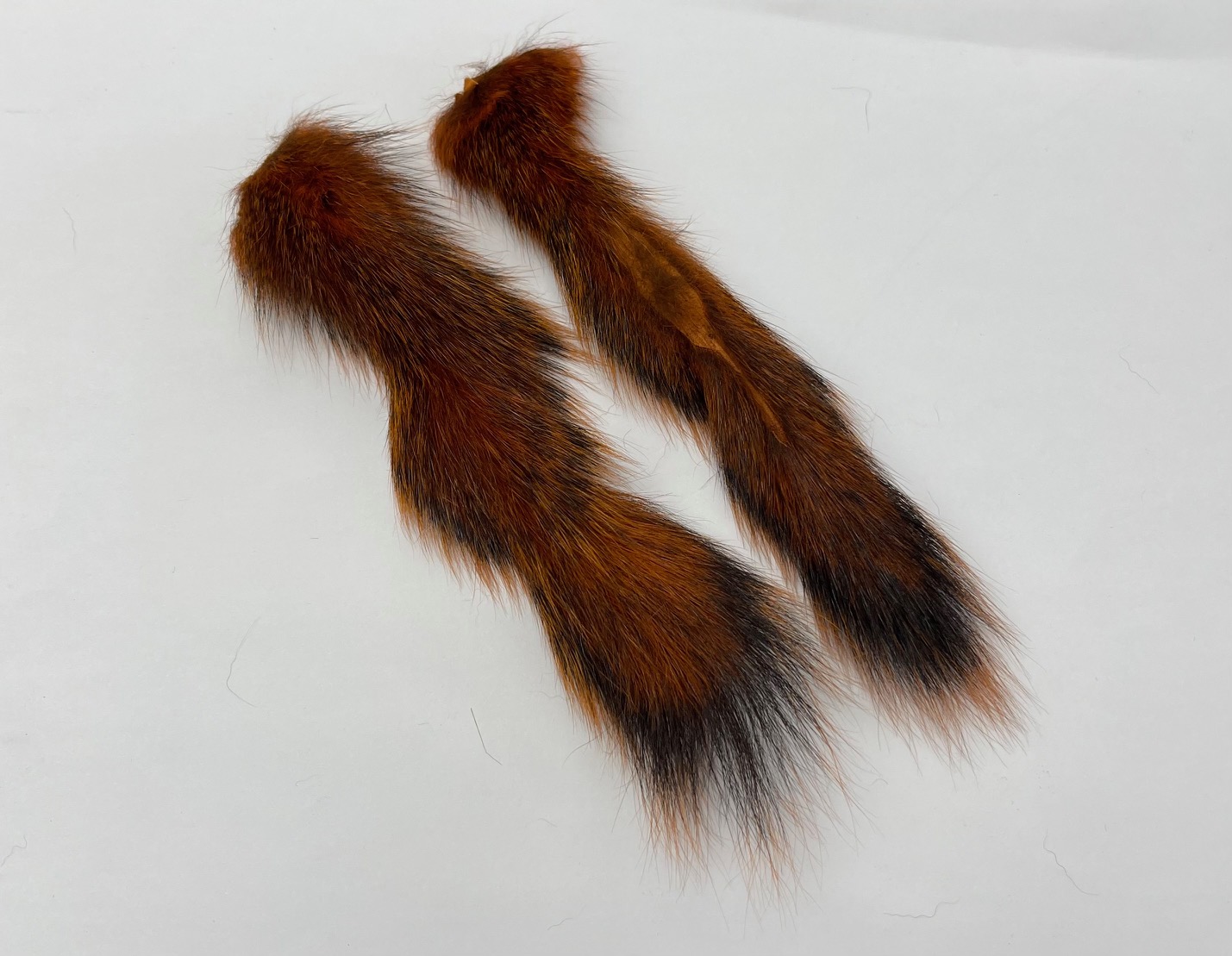 Wapsi Pine Squirrel Tails - Crawdad Orange
