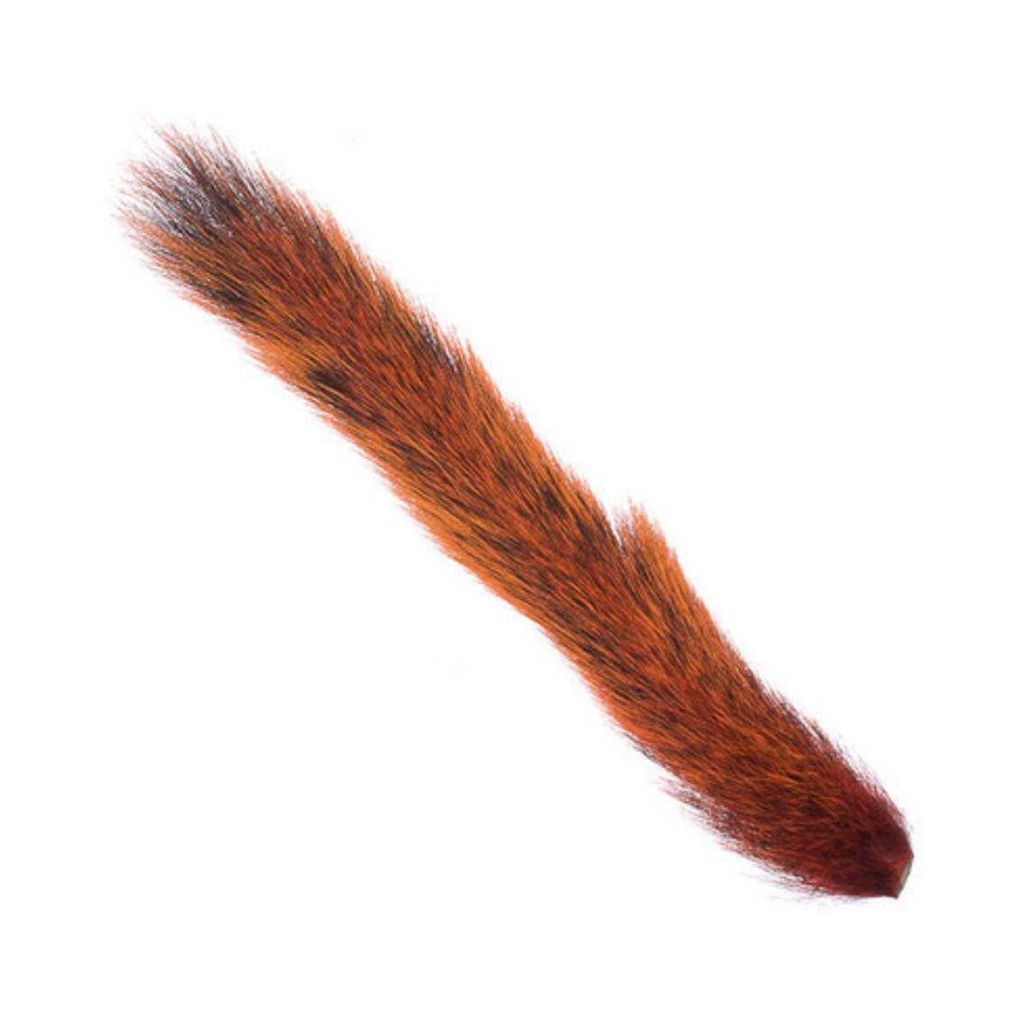 Wapsi Squirrel Tail - Orange
