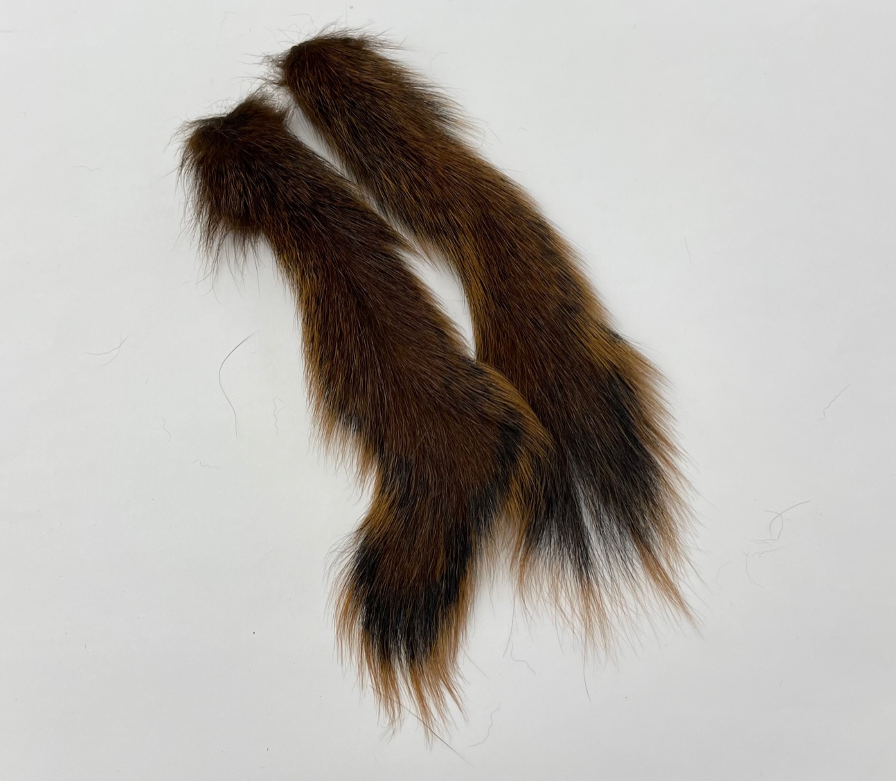 Wapsi Pine Squirrel Tails - Brown