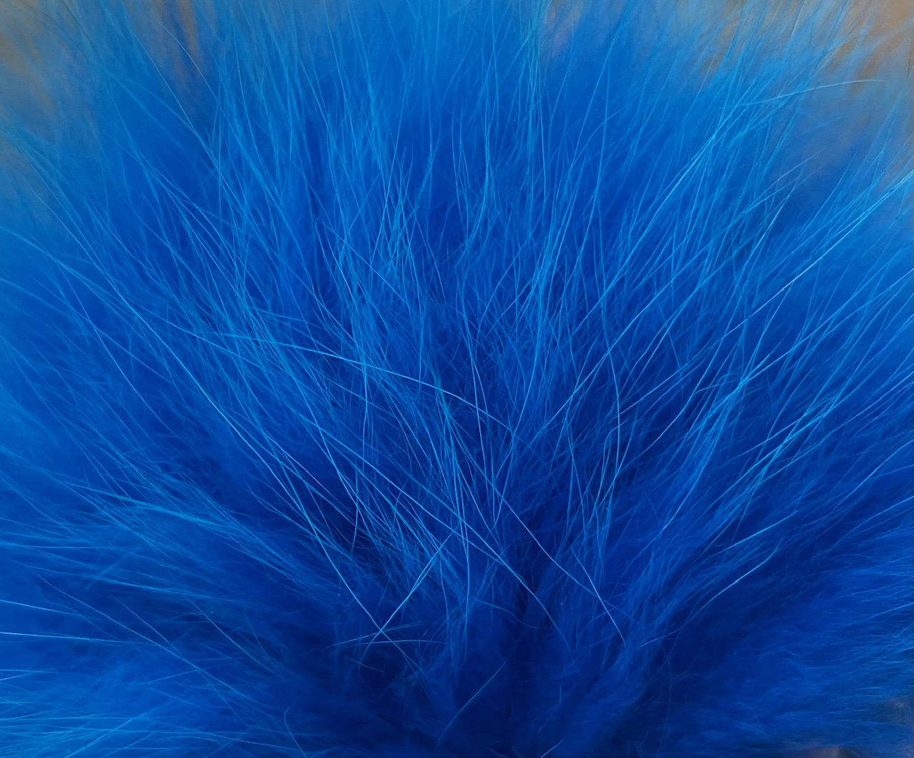 Wapsi Arctic Fox Fur - Kingfisher Blue