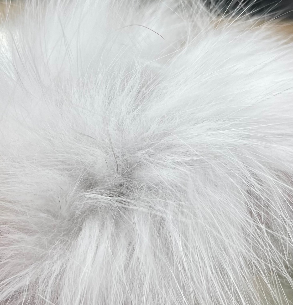 Wapsi Arctic Fox Fur - White