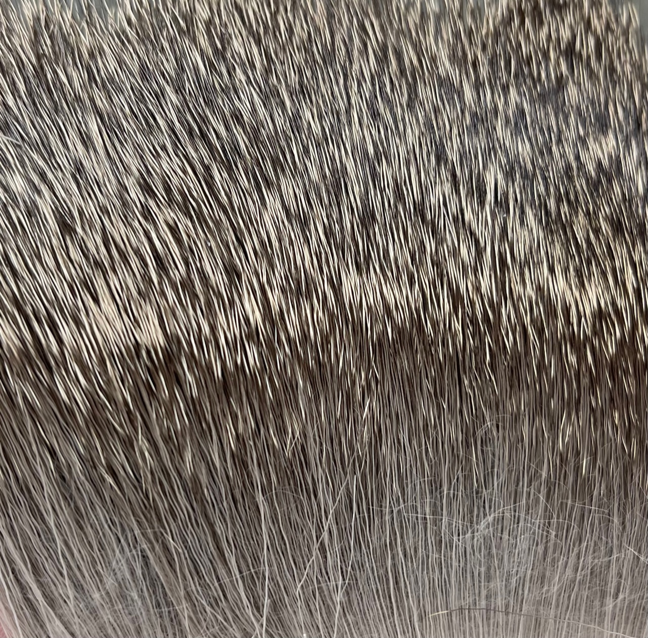 Deer Body Hair - Natural Brown