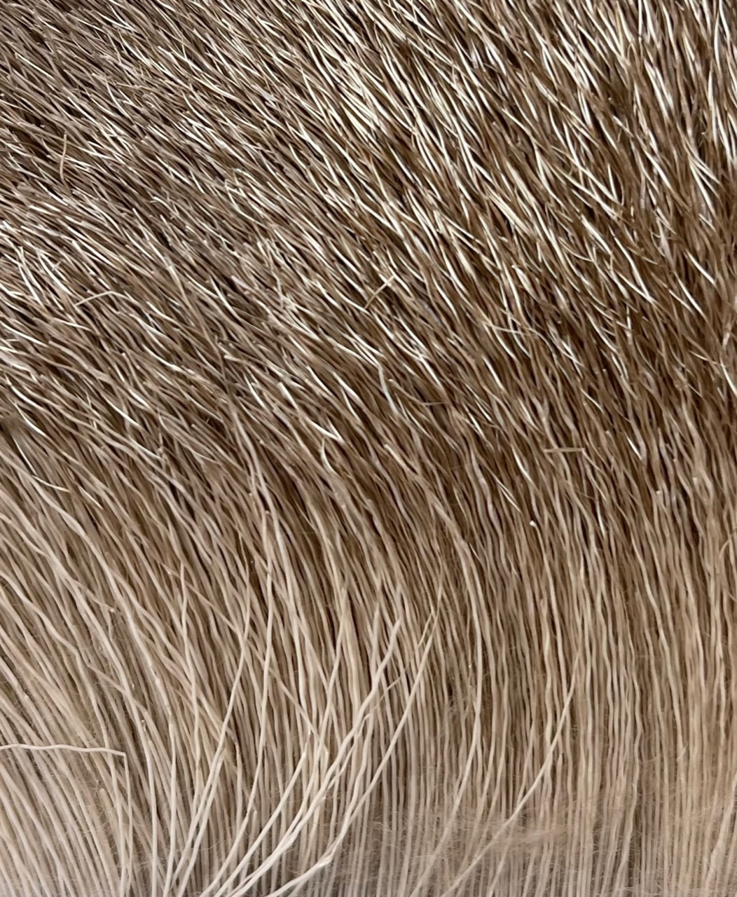 Deer Body Hair - Bleached