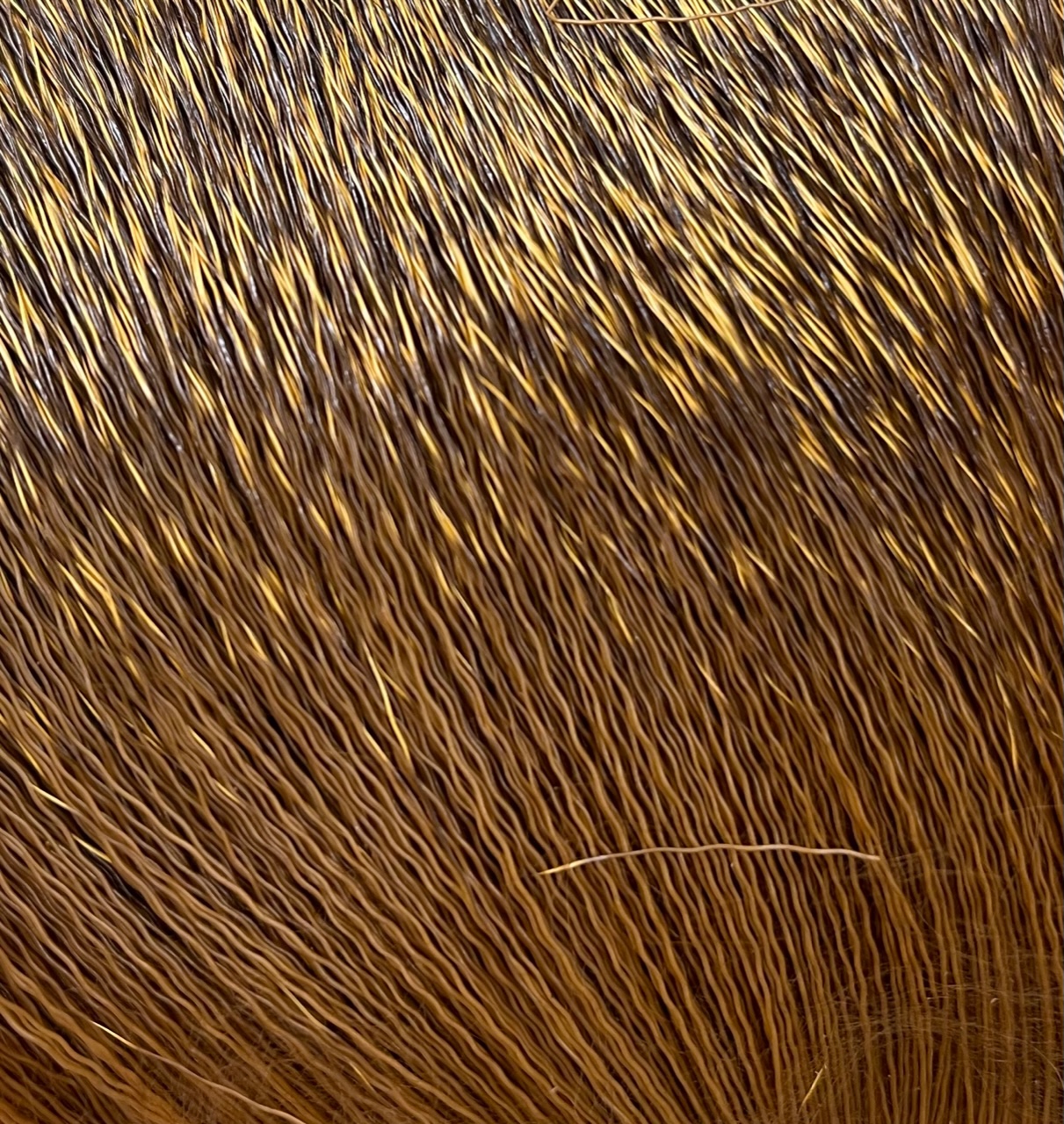 Deer Body Hair - Golden Brown