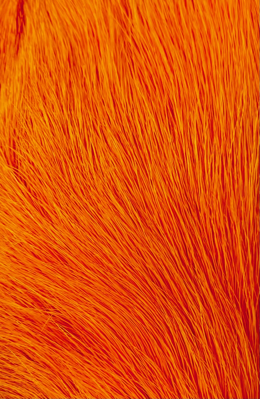 Wapsi Deer Belly Hair - Orange