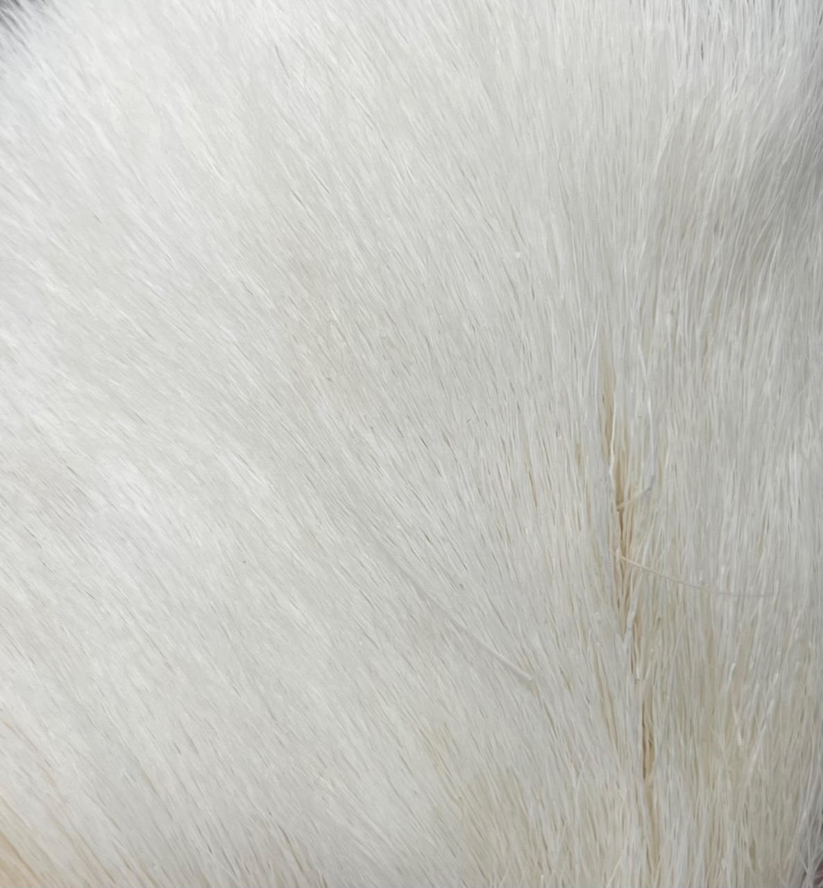 Wapsi Deer Belly Hair - White