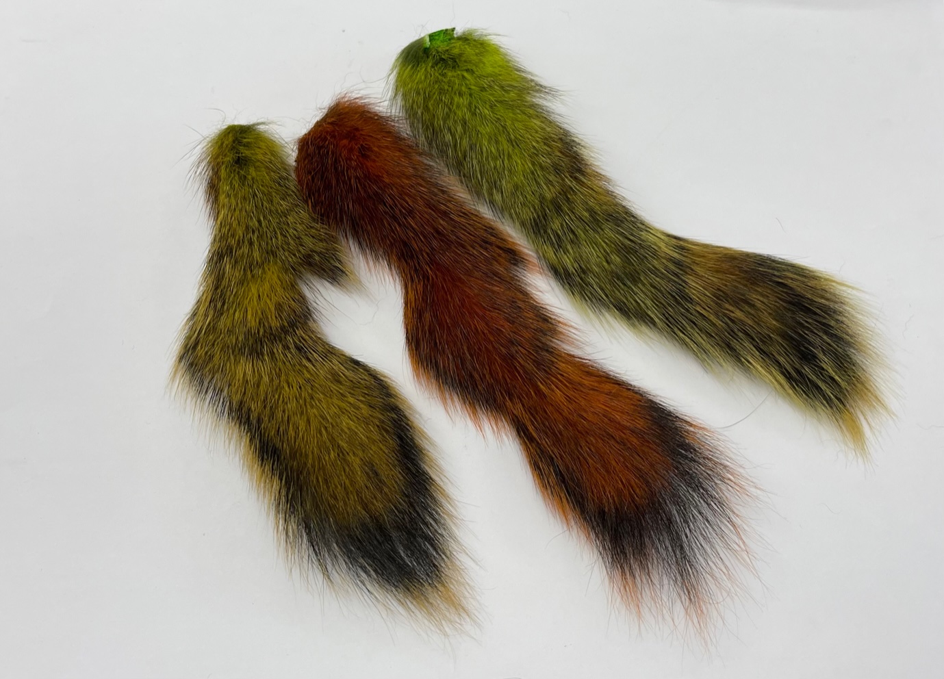 Pine Squirrel Tails