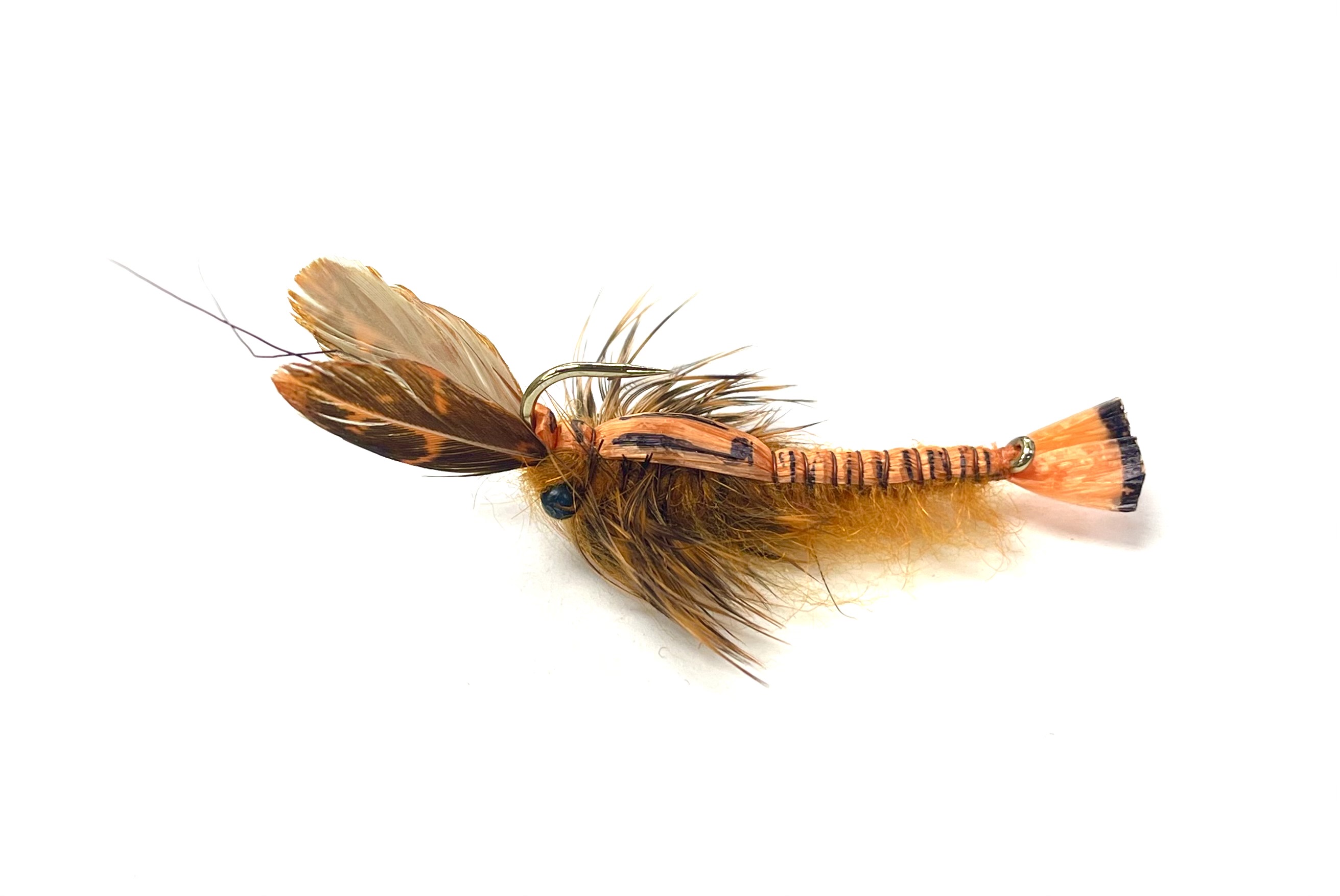 W. Softshell Crayfish
