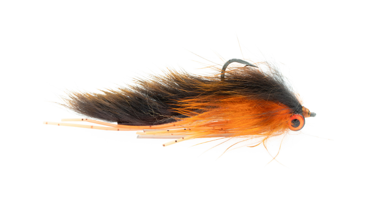 Creek Leech