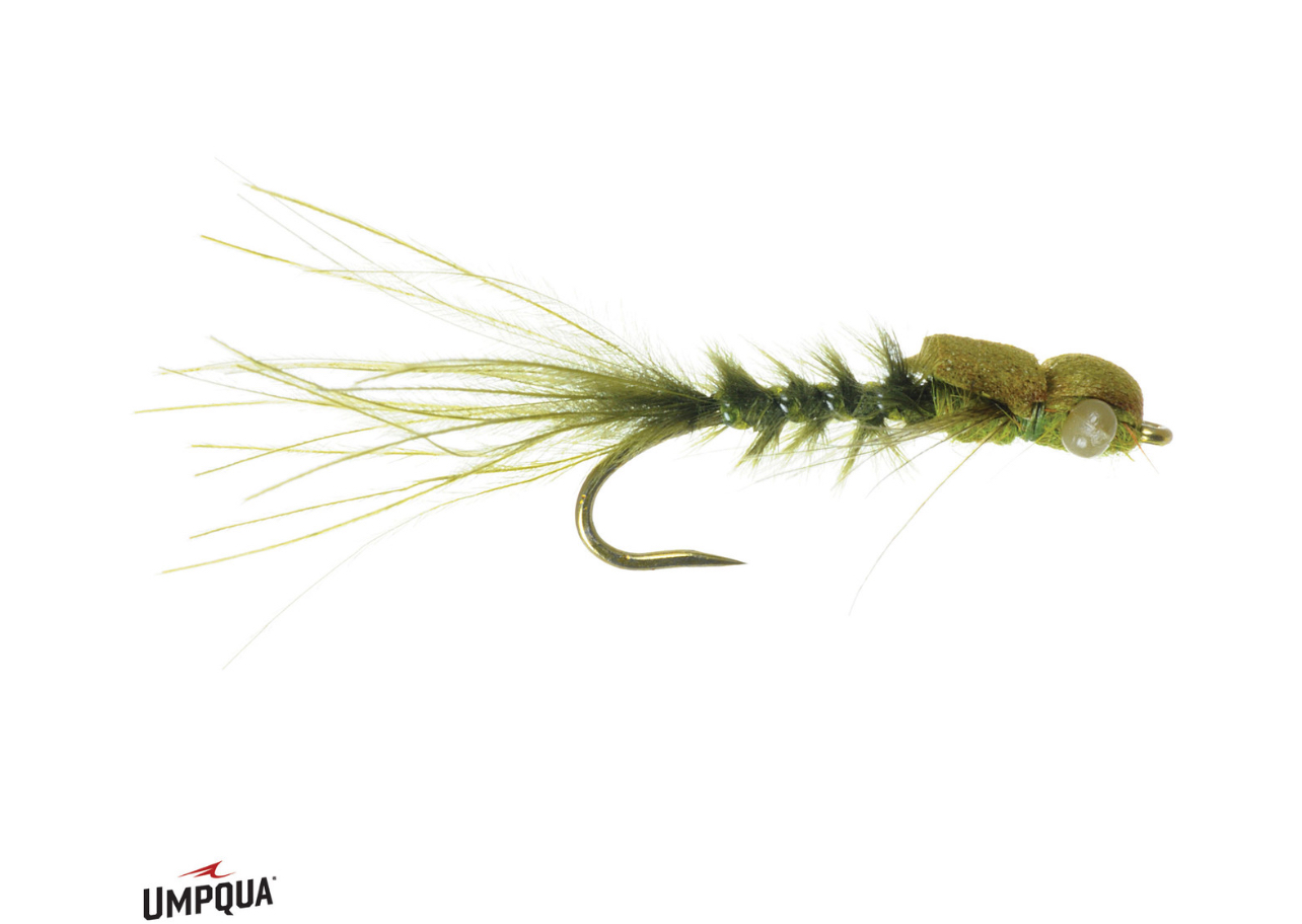 Picky Fish Damsel