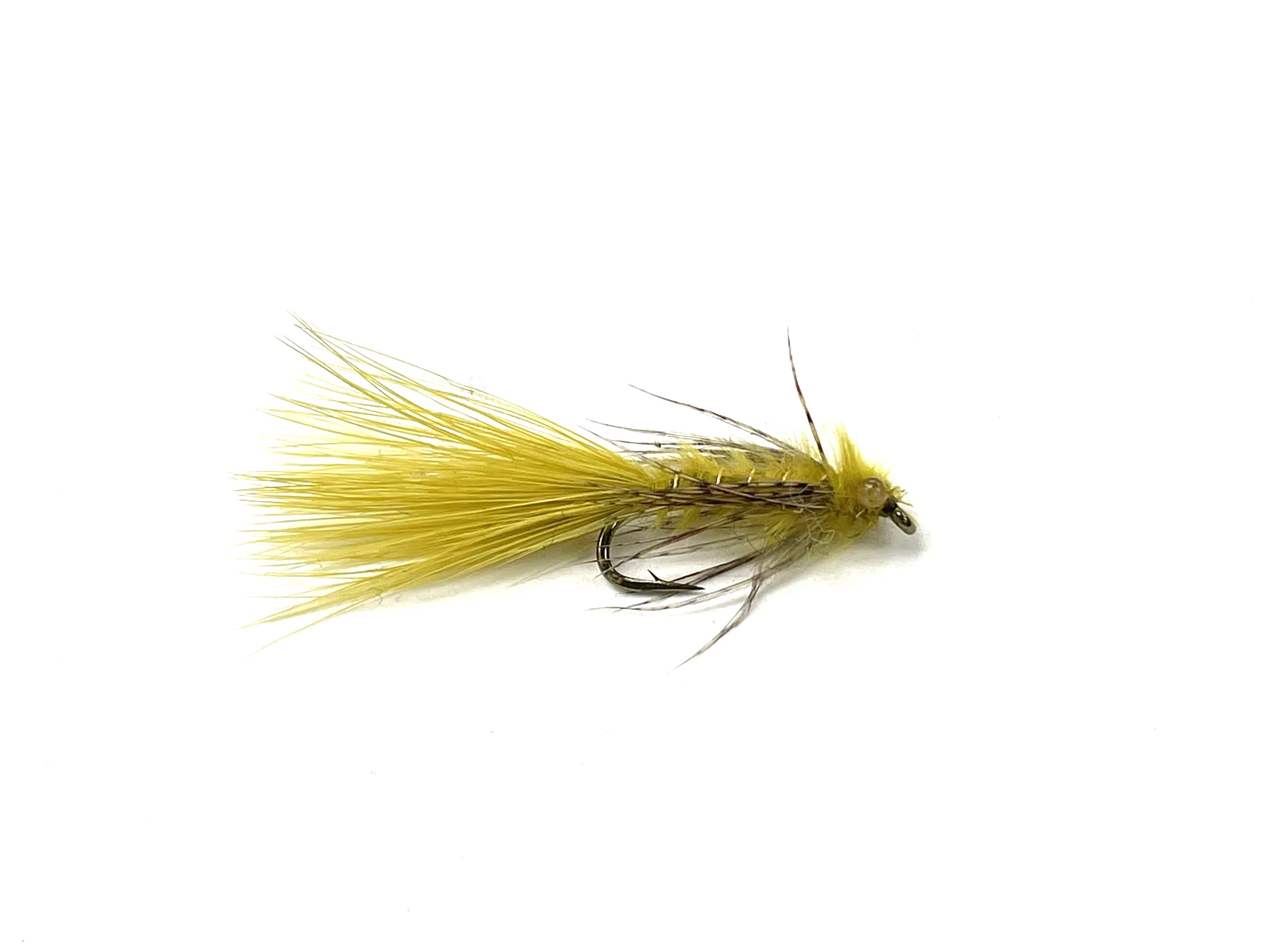 Mono Eyed Damsel