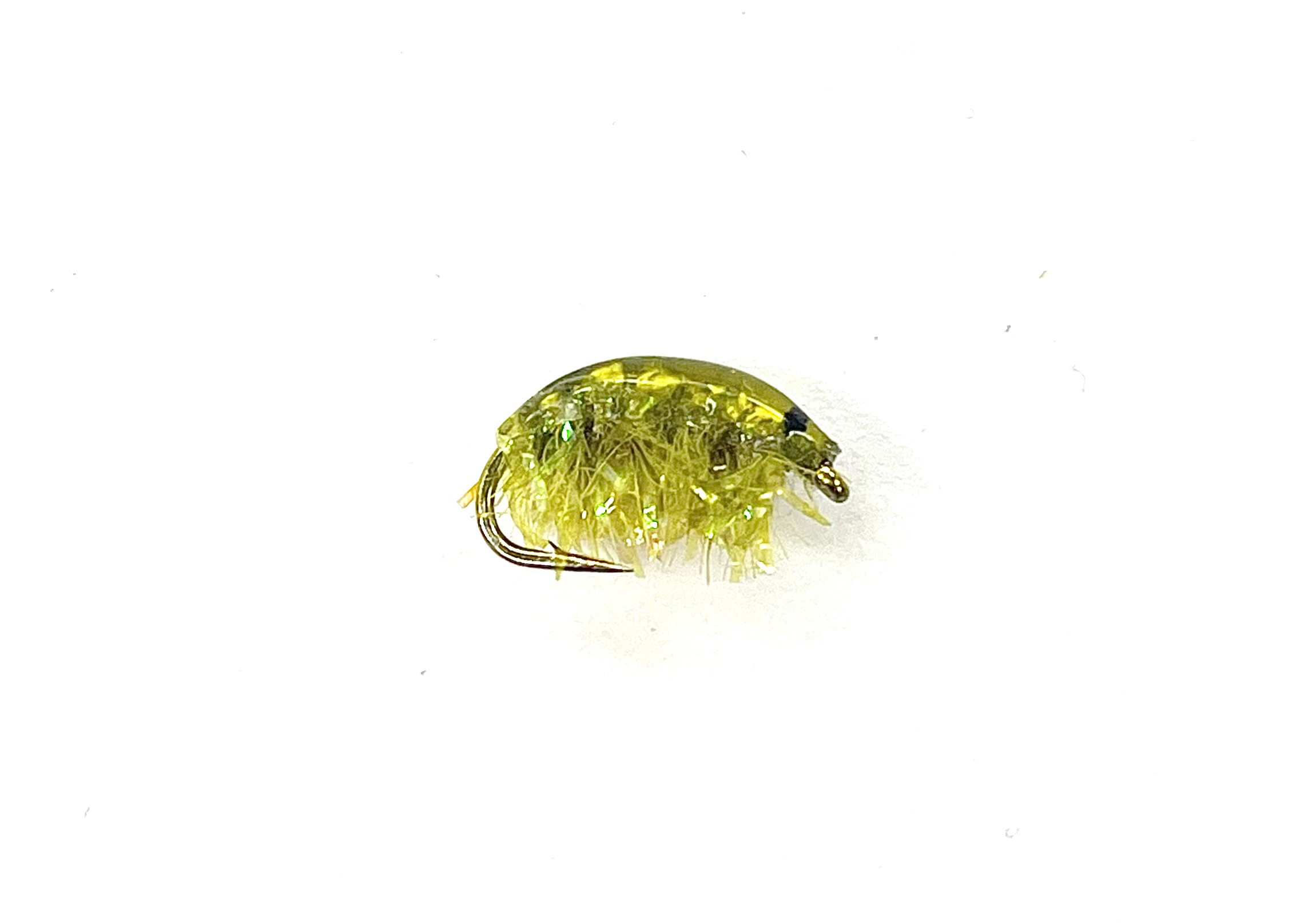 Jenning's Shrimp