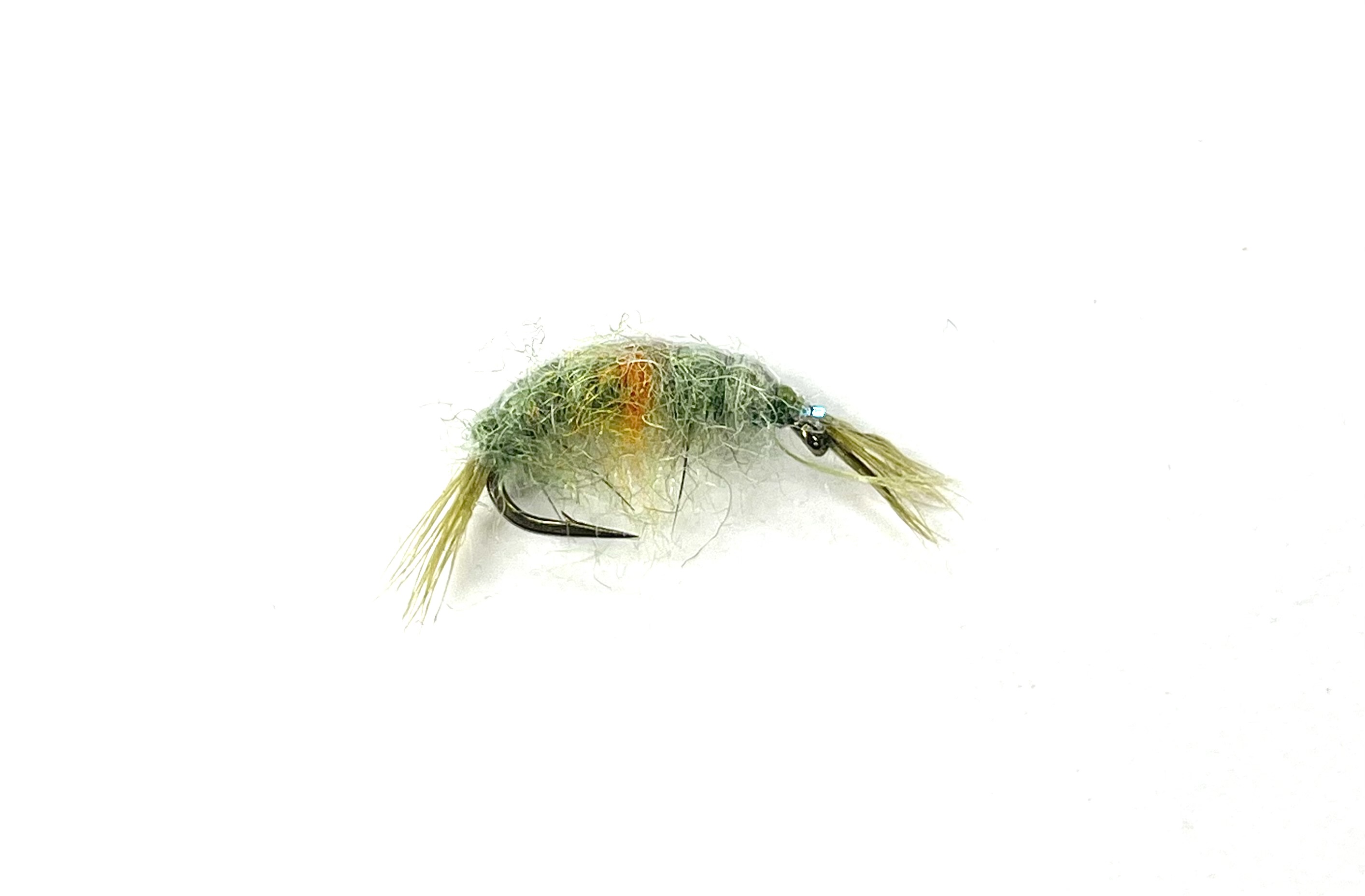 Pregnant Shrimp