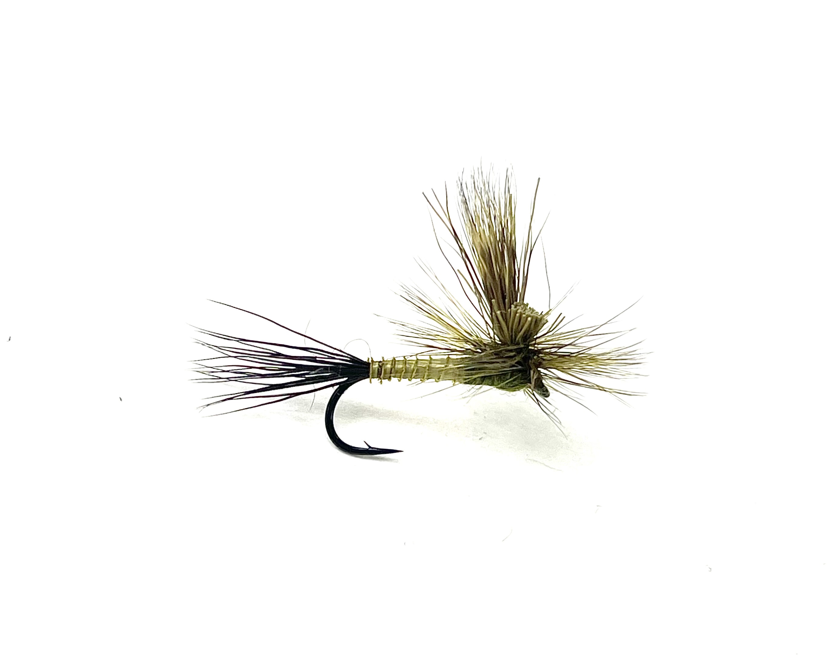 Gunnison Green Drake