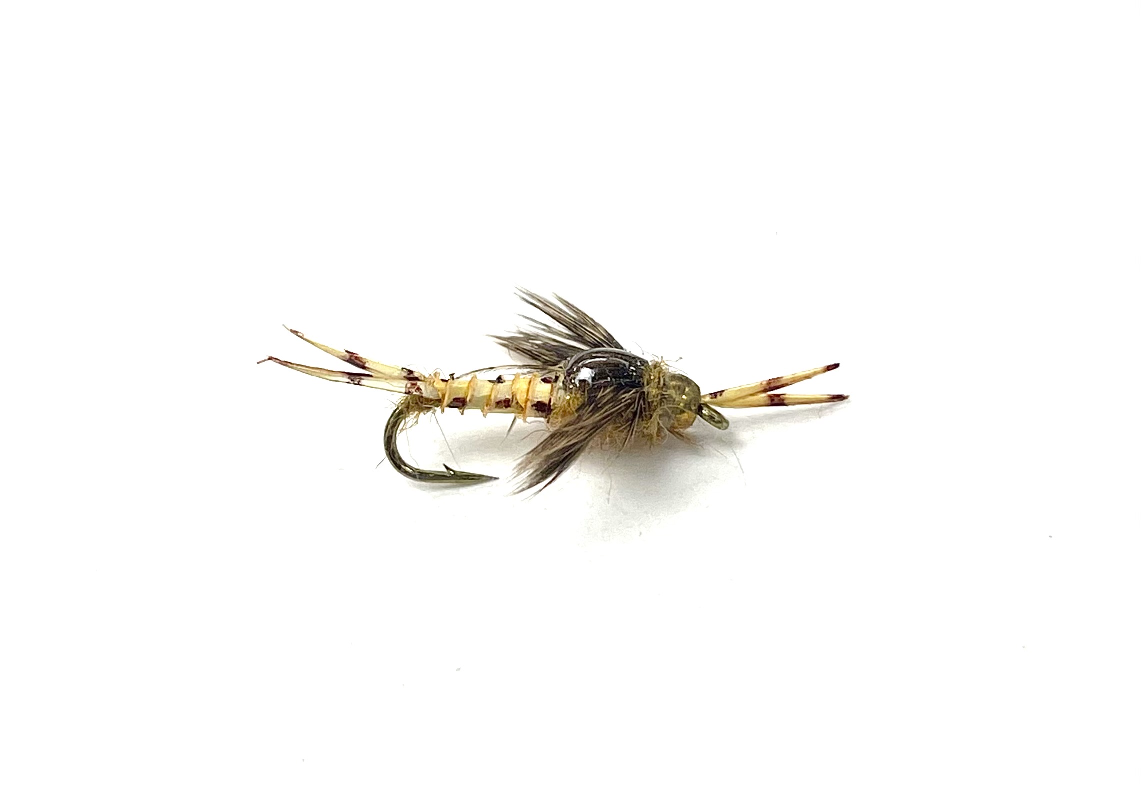 Black's Flies GB Epoxy Stone Nymph Fly Fishing Flies Product