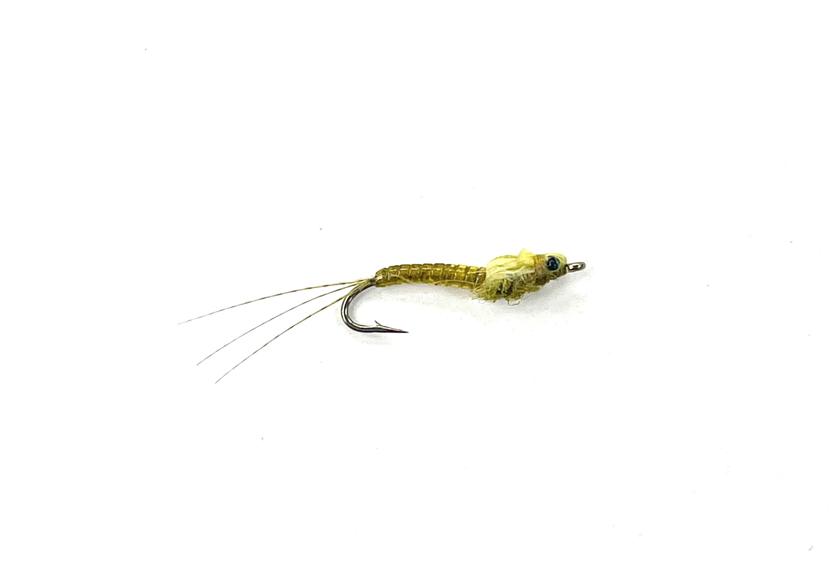 Erwin's Callibaetis