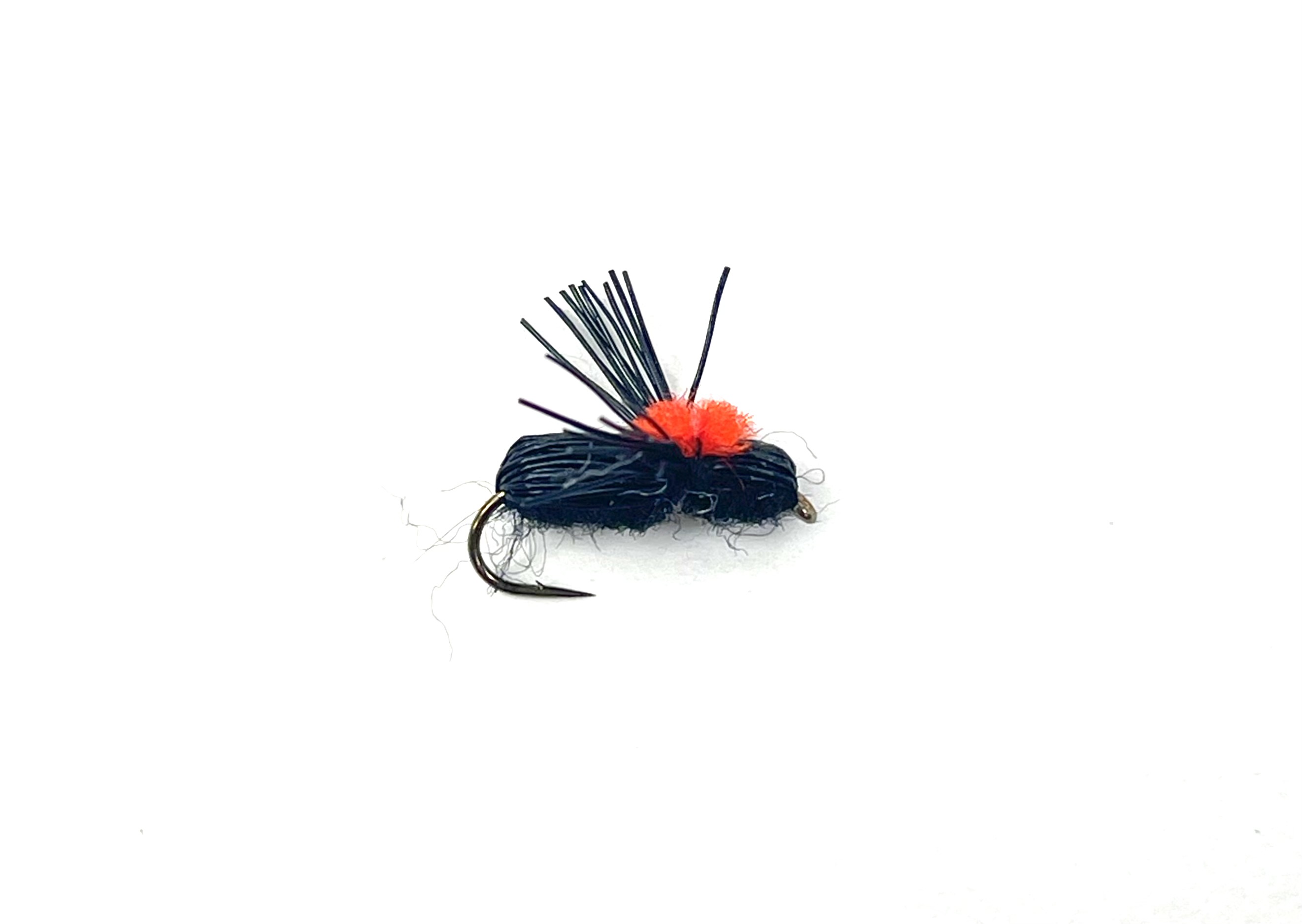 Black Beetle