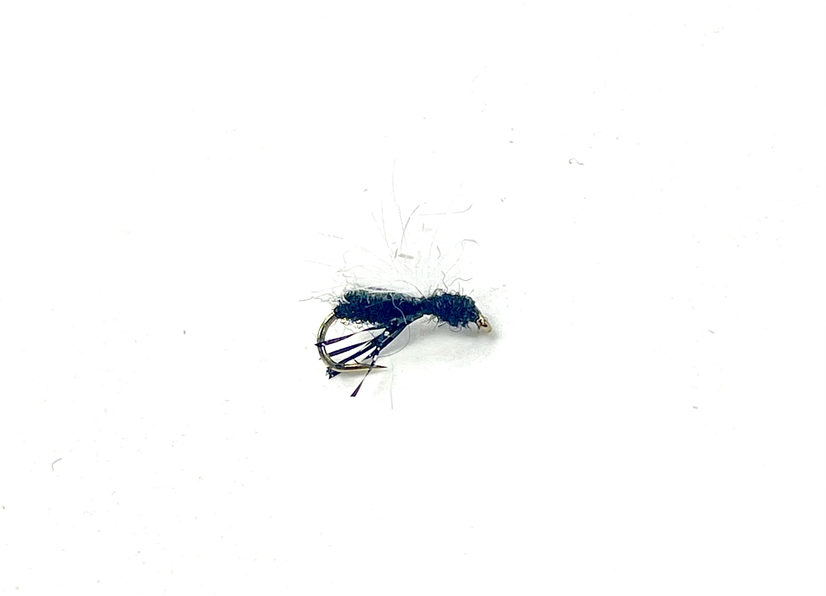 CDC Black Ant