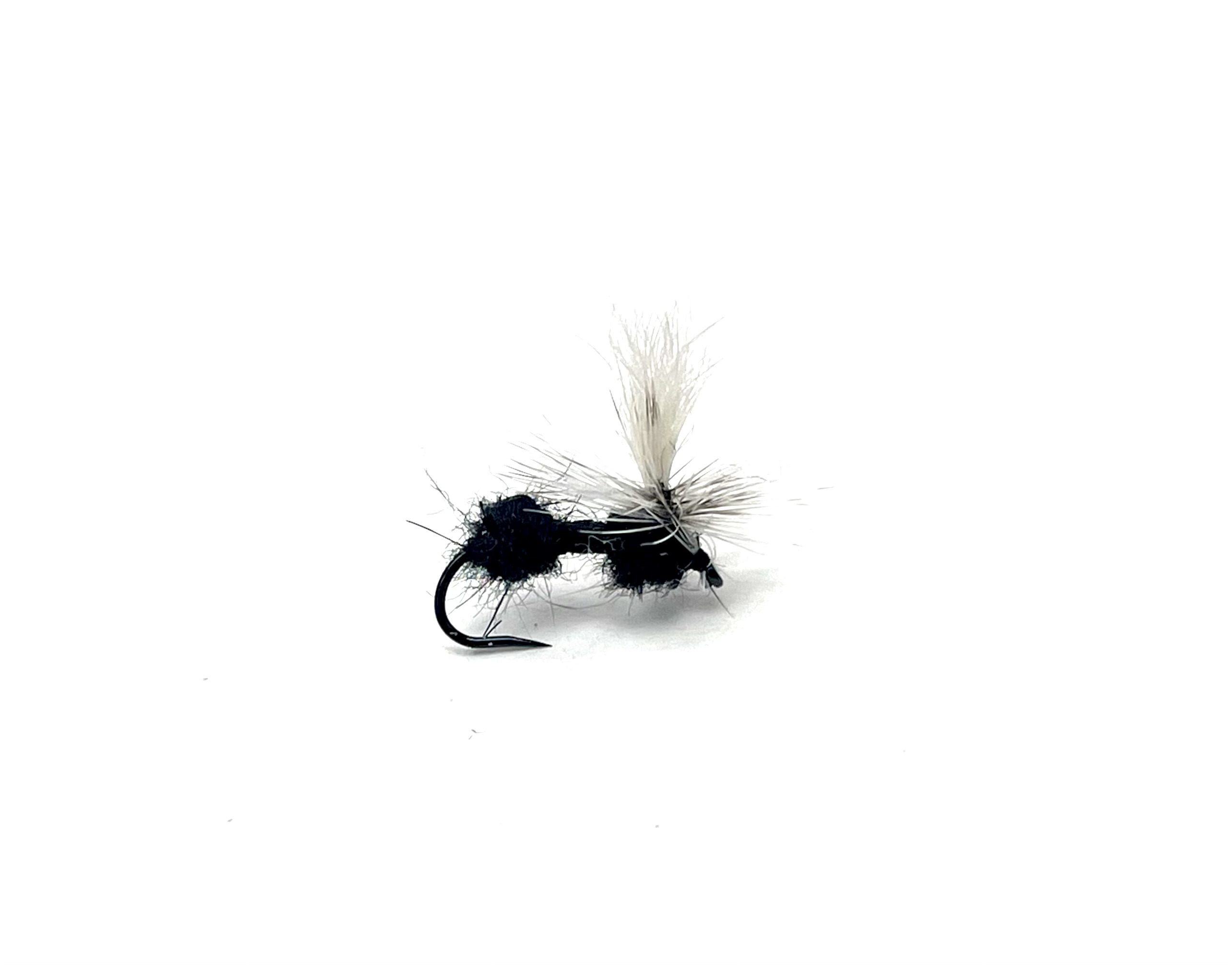 Parachute Ant