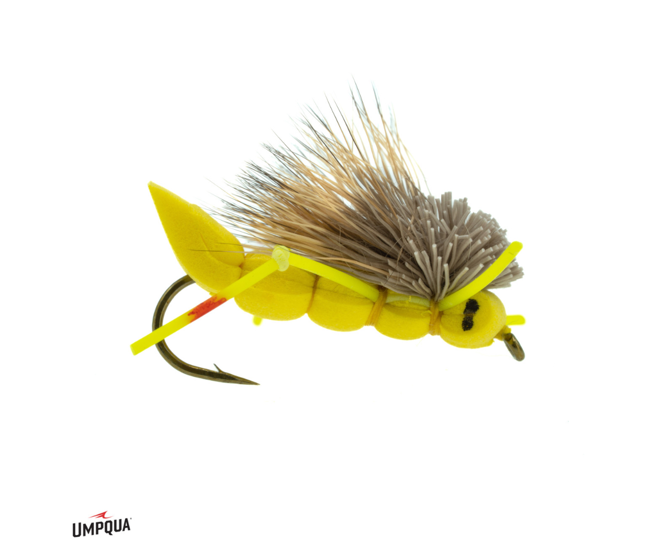 Charlie Boy Hopper