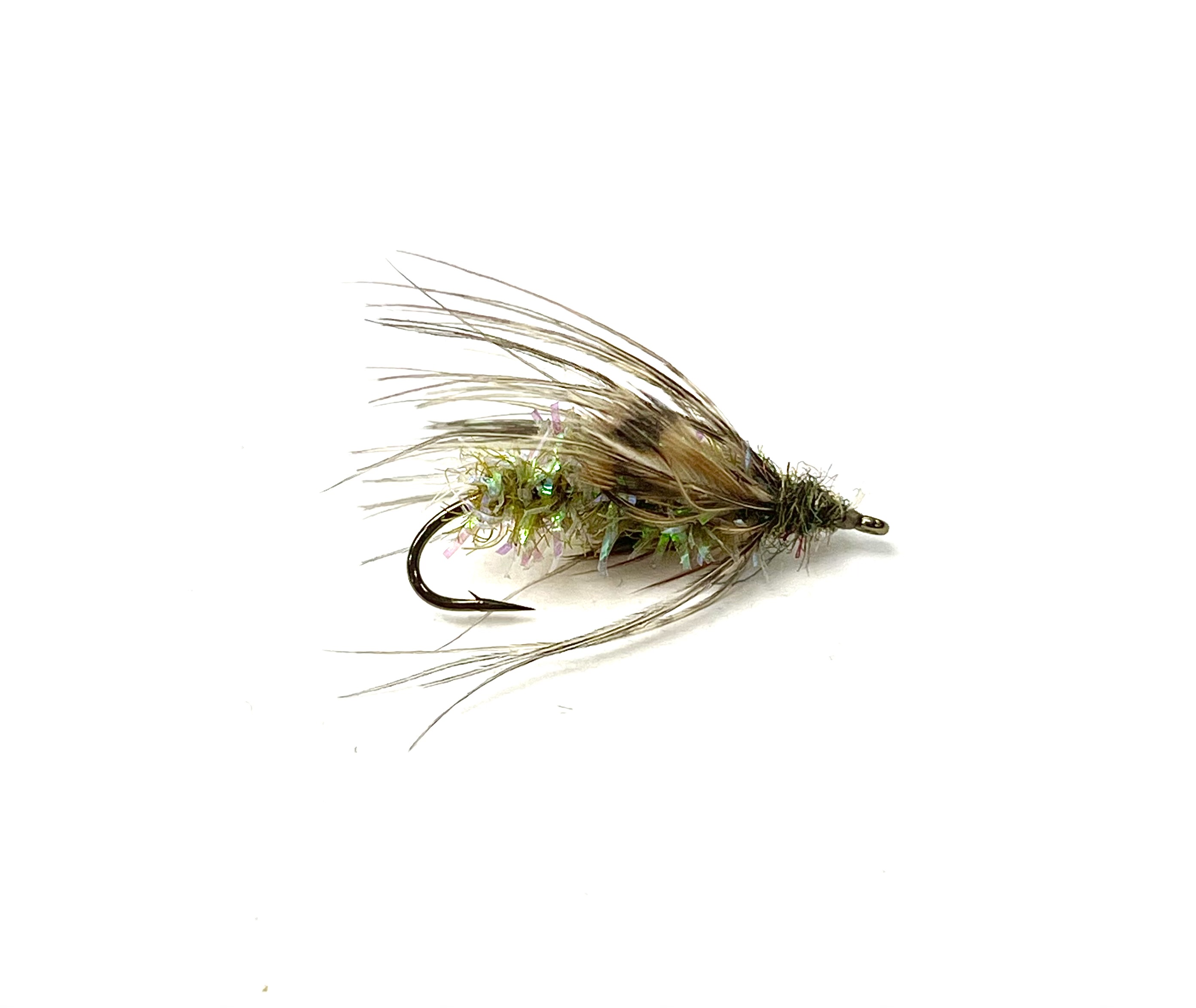 TW Sedge Pupa