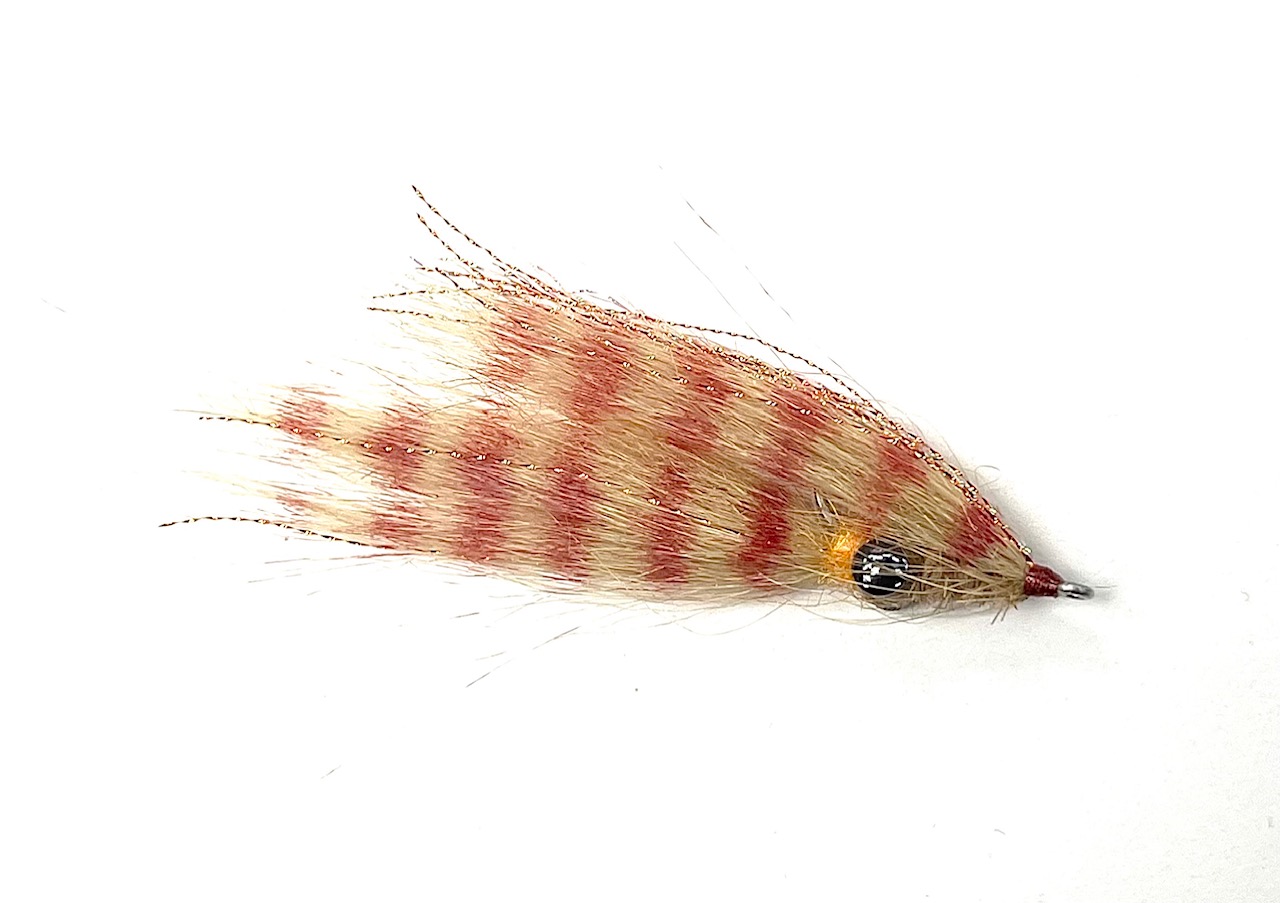Crafty Shrimp
