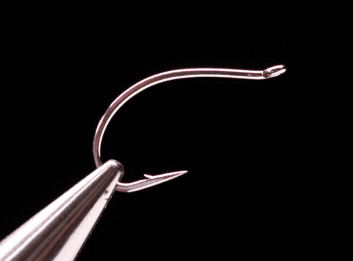 Chironomid